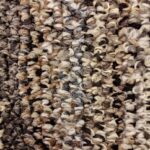 SP30 Grey Tones Berber Kangaback Carpet