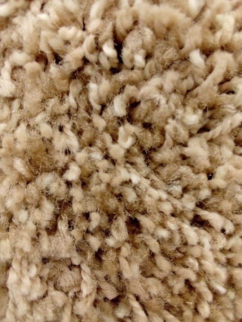 SP45 Beige Delight Kangaback Carpet | $2.59/sq.ft.